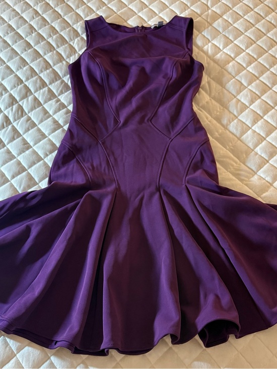 Zac Posen Dresses & Skirts - ZAC Zac Posen Purple Paneled Fit & Flare Dress Size 4